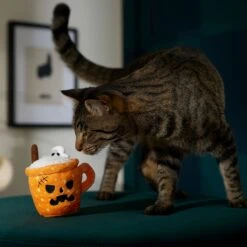 Frisco Halloween Spooky Pumpkin Spice Latte Plush Cat Toy With Catnip 8 Frisco Halloween Spooky Pumpkin Spice Latte Plush Cat Toy With Catnip -Frisco 344080 PT3. AC SS1800 V1657657033