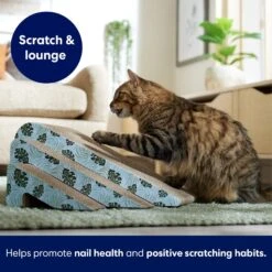 Frisco Nesting Cat Scratcher Toy With Catnip, Tropical Paradise 8 Frisco Nesting Cat Scratcher Toy With Catnip, Tropical Paradise -Frisco 347215 PT3. AC SS1800 V1659699261