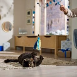 Frisco Hanukkah Interchangeable Teaser Wand Cat Toy With Catnip 8 Frisco Hanukkah Interchangeable Teaser Wand Cat Toy With Catnip -Frisco 360911 PT3. AC SS1800 V1661890134