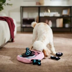 Frisco Valentine Love Song Record Player Hide & Seek Puzzle Plush Squeaky Dog Toy -Frisco 371087 PT3. AC SS1800 V1668737233