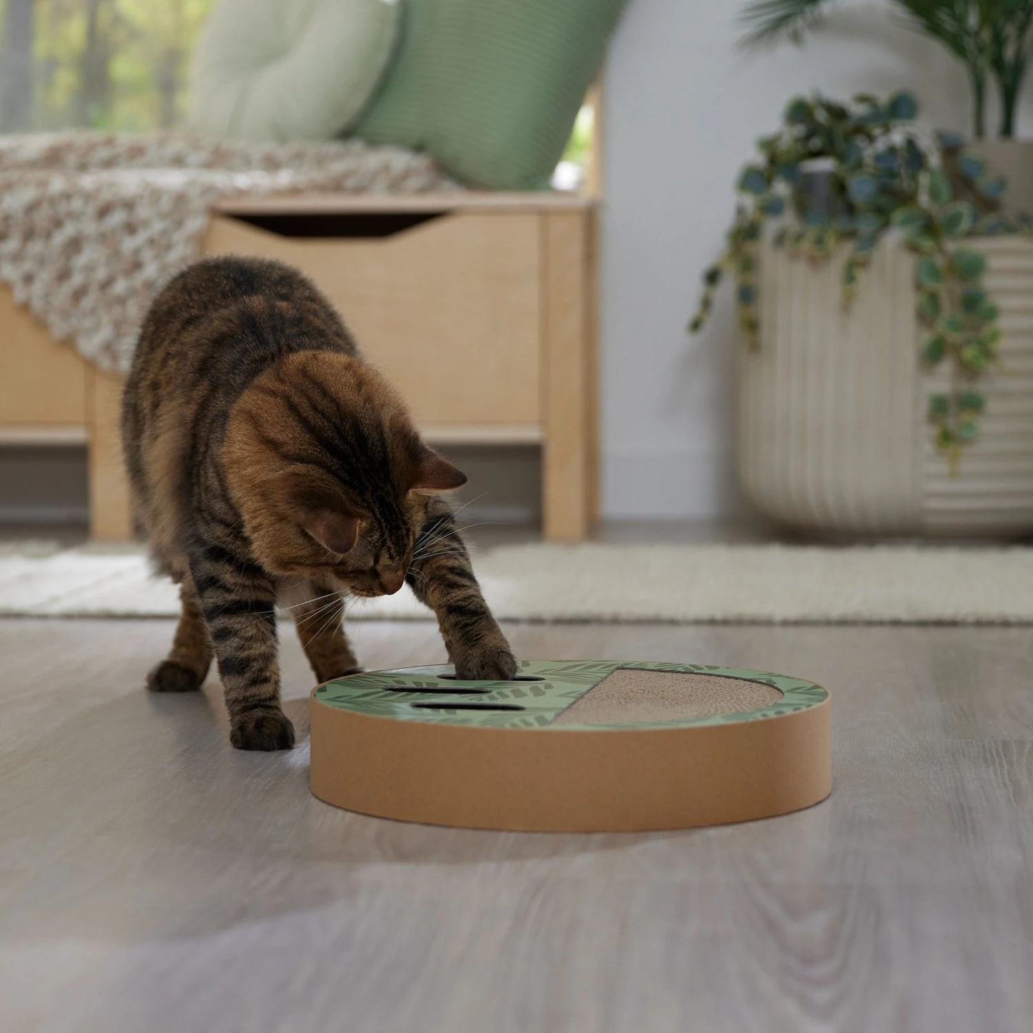 Frisco Interactive Maze & Scratch Cardboard Cat Toy Box With Catnip, Palms 7 Frisco Interactive Maze & Scratch Cardboard Cat Toy Box With Catnip, Palms - Image 5