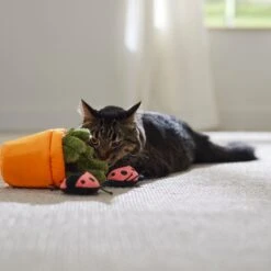 Frisco Spring Potted Plant And Ladybugs Interactive Plush Cat Toy With Catnip -Frisco 541542 PT3. AC SS1800 V1671814448