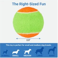 Frisco Dumbbell TPR Fetch Dog Toy + 3 Items -Frisco 582446 PT6. AC SS1800 V1658238980