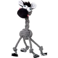 Frisco Fold & Carry Single Door Collapsible Wire Dog Crate + 4 Items -Frisco 623718 PT7. AC SS1800 V1662734896