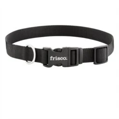 Frisco Solid Nylon Dog Leash + 4 Items -Frisco 623766 PT5. AC SS1800 V1662735841