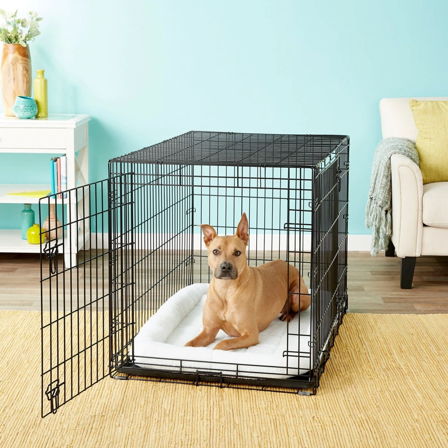 Frisco Swirl Dog Crate Mat + 3 Items 4 Frisco Swirl Dog Crate Mat + 3 Items - Image 2