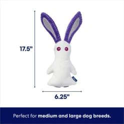 Frisco Halloween Bunny Ghost Plush Squeaky Dog Toy -Frisco 667878 PT1. AC SS1800 V1689271353