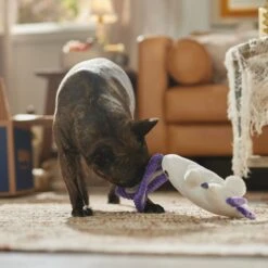 Frisco Halloween Bunny Ghost Plush Squeaky Dog Toy -Frisco 667878 PT3. AC SS1800 V1689340856