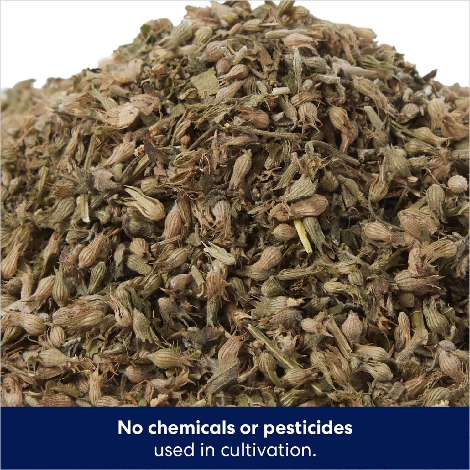 Frisco Natural Catnip & Hartz Cattraction Silver Vine & Catnip Gator Cat Scratcher Toy, Color Varies 6 Frisco Natural Catnip & Hartz Cattraction Silver Vine & Catnip Gator Cat Scratcher Toy, Color Varies - Image 4