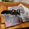 Frisco Plush Cat & Dog Throw Blanket 2 Frisco Plush Cat & Dog Throw Blanket -Frisco 816702 MAIN. AC SS1800 V1701117014