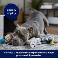 Frisco Forest Friends Plush, Rope & TPR Variety Pack Dog Toy -Frisco 843534 PT3. AC SS1800 V1693411070