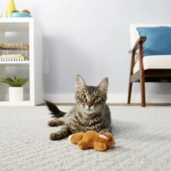 Frisco Squirrel Plush Cat Toy With Refillable Catnip & Frisco Bird With Feathers Teaser Wand Cat Toy With Catnip 15 Frisco Squirrel Plush Cat Toy With Refillable Catnip & Frisco Bird With Feathers Teaser Wand Cat Toy With Catnip -Frisco 962030 PT4. AC SS1800 V1694783955