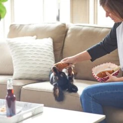 Frisco Corndog Interactive Plush Squeaky Dog Toy & Frisco Guacamole Hide & Seek Puzzle Plush Squeaky Dog Toy -Frisco 962086 PT3. AC SS1800 V1694782979