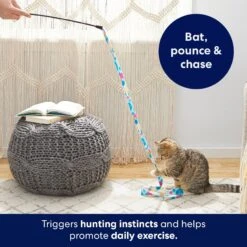 Frisco Fabric Teaser Wand Cat Toy & Frisco Bird With Feathers Teaser Wand Cat Toy With Catnip 14 Frisco Fabric Teaser Wand Cat Toy & Frisco Bird With Feathers Teaser Wand Cat Toy With Catnip -Frisco 962094 PT3. AC SS1800 V1694782977