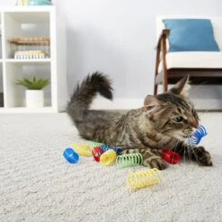 Frisco Colorful Springs Cat Toy & Frisco Bird With Feathers Teaser Wand Cat Toy With Catnip 15 Frisco Colorful Springs Cat Toy & Frisco Bird With Feathers Teaser Wand Cat Toy With Catnip -Frisco 962126 PT4. AC SS1800 V1694782923