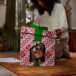 Frisco Holiday Gift Box Cardboard Cat House & Frisco Holiday Santa's Workshop Cardboard Cat House -Frisco 986158 PT4. AC SS1800 V1698257737