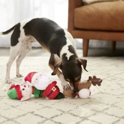 Frisco Holiday Santa's Helpers Plush Squeaky Dog Toy, 3 Count & Frisco Holiday Lights Plush With Rope Squeaky Dog Toy 13 Frisco Holiday Santa's Helpers Plush Squeaky Dog Toy, 3 Count & Frisco Holiday Lights Plush With Rope Squeaky Dog Toy -Frisco 986206 PT4. AC SS1800 V1698257788